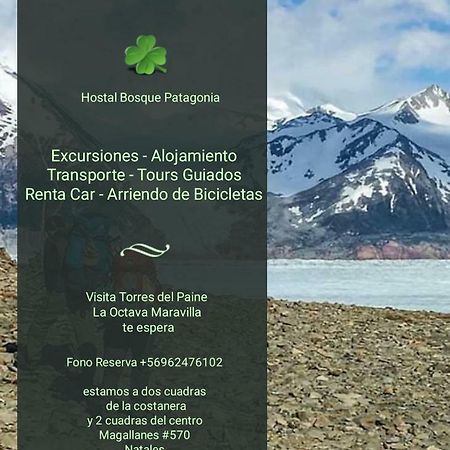 بويرتو ناتالز Hostal Bosque Patagonia المظهر الخارجي الصورة